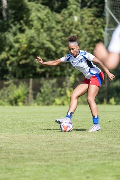 Bild 379 - wBJ Hamburger SV - VfL Wolfsburg : Ergebnis: 5:1